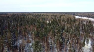 Kışın kış ormanıyla dağların yakınında İHA uçuşu