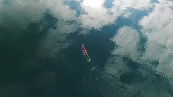 Sea kayaker girato dall'alto — Video Stock
