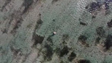 Bir deniz yosunu çiftçi Serangan Island, Bali, Endonezya