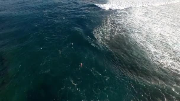 Luchtfoto van een surfer uit peddelen naar de line-up via het kanaal — Stockvideo