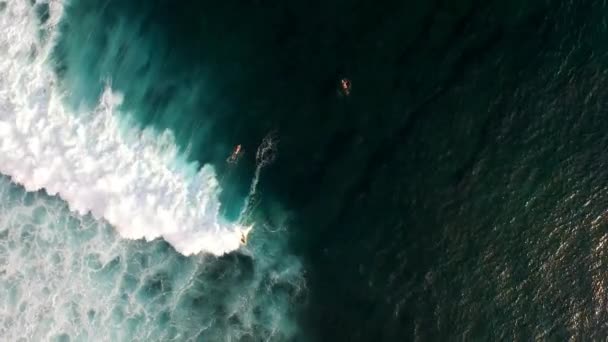 Vue aérienne d'un surfeur chevauchant une vague à Bali, Indonésie 