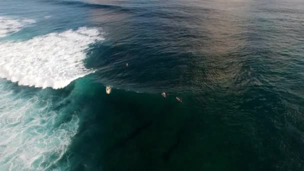 Bir dalga üzerinde bir kısa sörf yolculuk havadan görünümü — Stok video