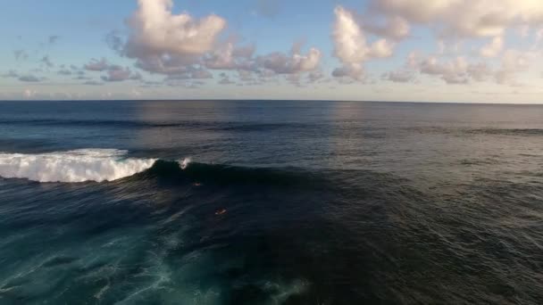 Surfer making a single bottom turn on a wave — Stock Video