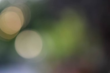 Yumuşak, bulanık yeşil ve Bokeh ile altın rengi arka plan. Soyut gradyan masaüstü duvar kağıdı.