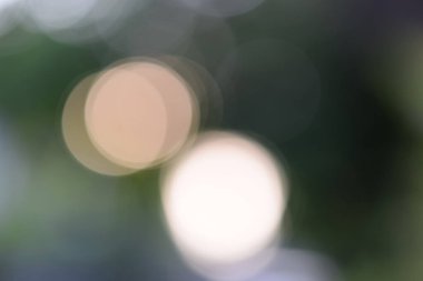 Yumuşak, bulanık yeşil ve Bokeh ile altın rengi arka plan. Soyut gradyan masaüstü duvar kağıdı.