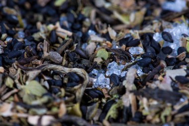 Makro baharat, ot ve çay doku 