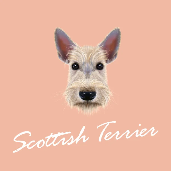 Anjing terrier Skotlandia - Stok Vektor