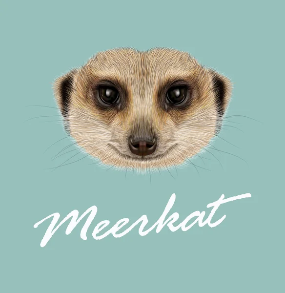 Afrikai Meerkat portré — Stock Vector