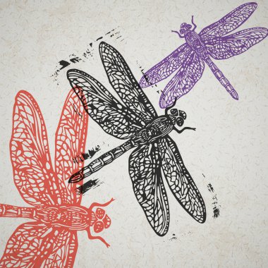 Vector dragonfly in abstract composition.  clipart