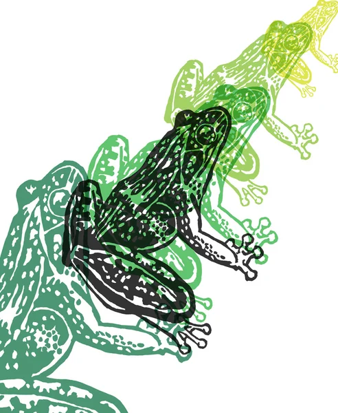 Grenouille vectorielle en composition abstraite . — Image vectorielle