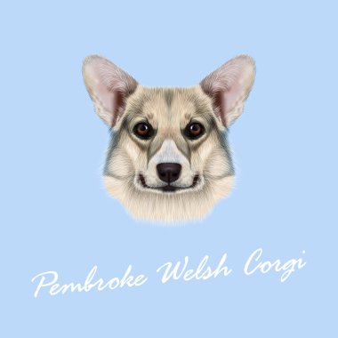 Vektör resimli portre Pembroke Welsh Corgi köpek