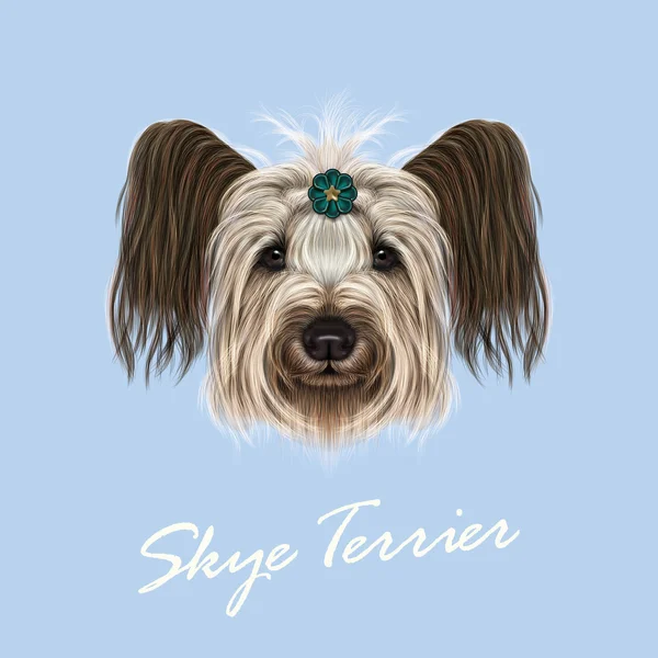 Vetor ilustrado Retrato de Skye Terrier . — Vetor de Stock