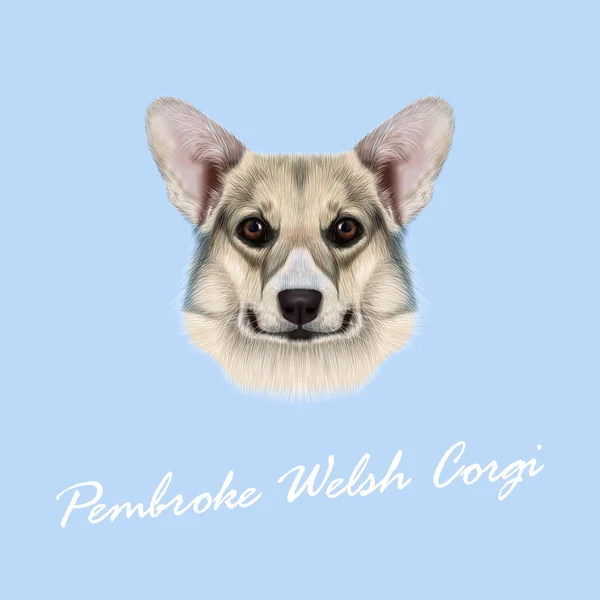 Vektorové ilustrace portrét Welsh Corgi Pembroke pes — Stockový vektor