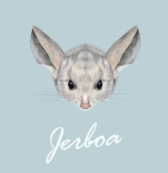 Vector retrato ilustrado de Jerboa . — Vector de stock