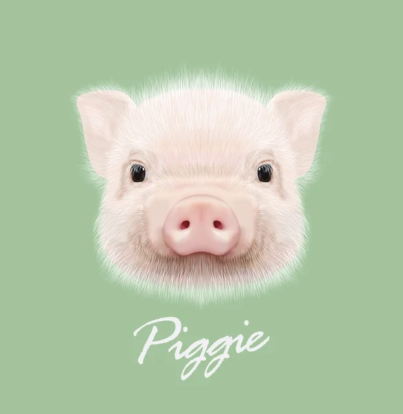 Portrait vectoriel illustré de porc de ferme . — Image vectorielle