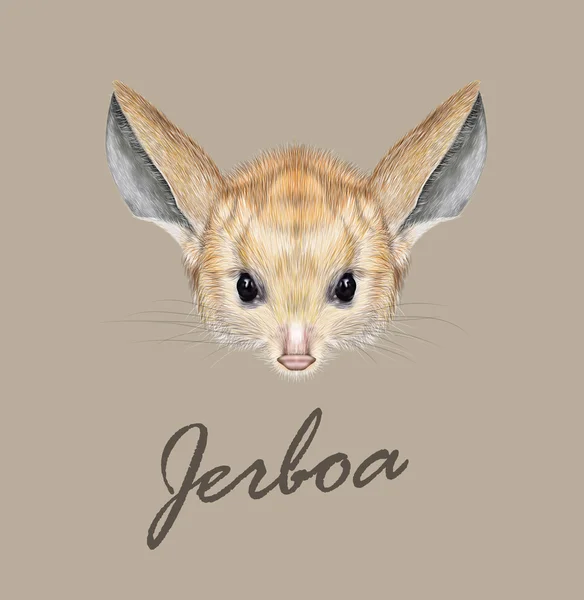 Vetor ilustrado retrato de Jerboa . —  Vetores de Stock