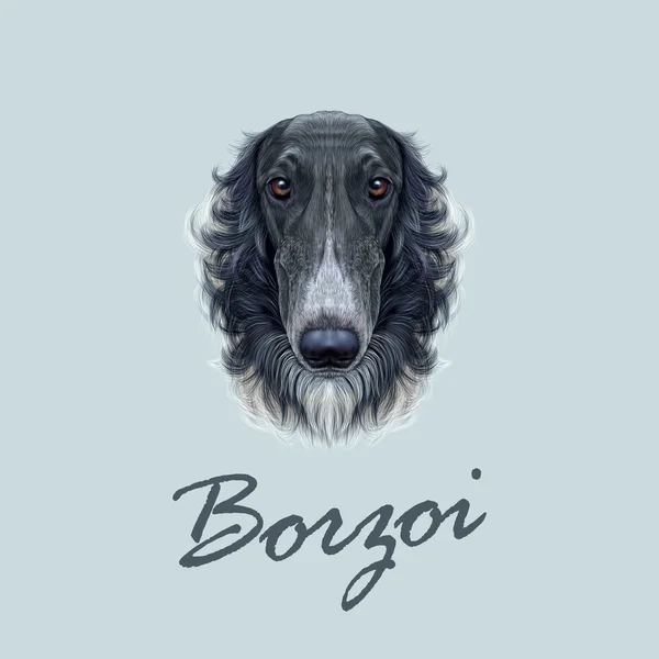 Vector illustrerad porträtt av Ryska Borzoi hund. — Stock vektor