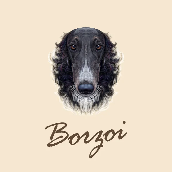 Vector Illustrated portret van Russische Borzoi hond. — Stockvector