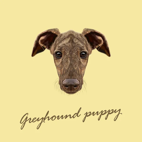 Vektör resimli portre, Greyhound köpek yavrusu. — Stok Vektör