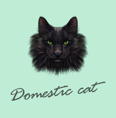 Vektör resimli portre siyah kedi. 