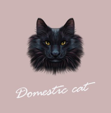 Vektör resimli portre siyah kedi. 