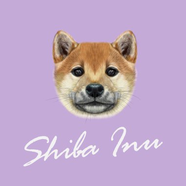 Shiba Inu köpek vektör Illustrated portresi. 