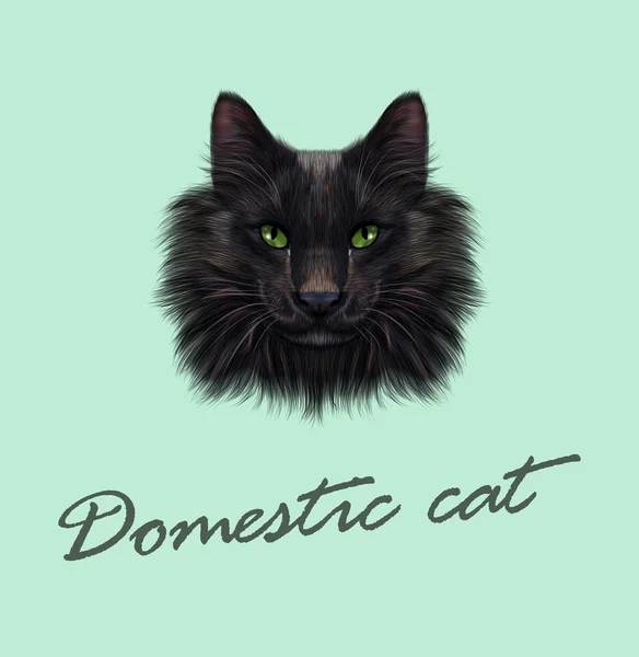 Vector Illustrated Portrait of Black Cat. — Stock Vector