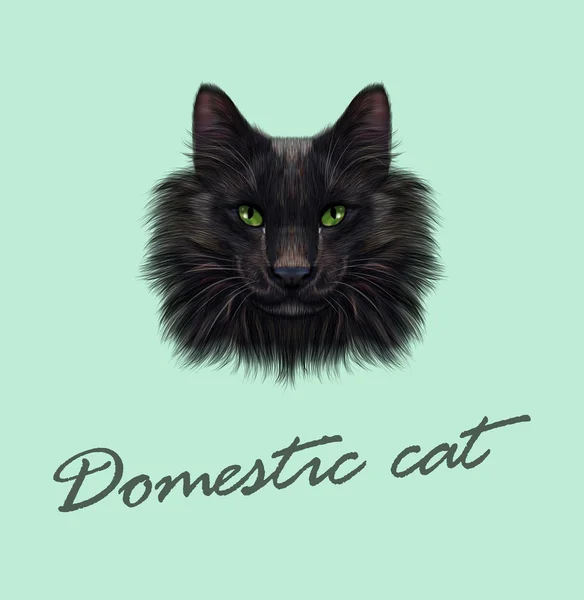 Vector Illustrated Potret Kucing Hitam . - Stok Vektor