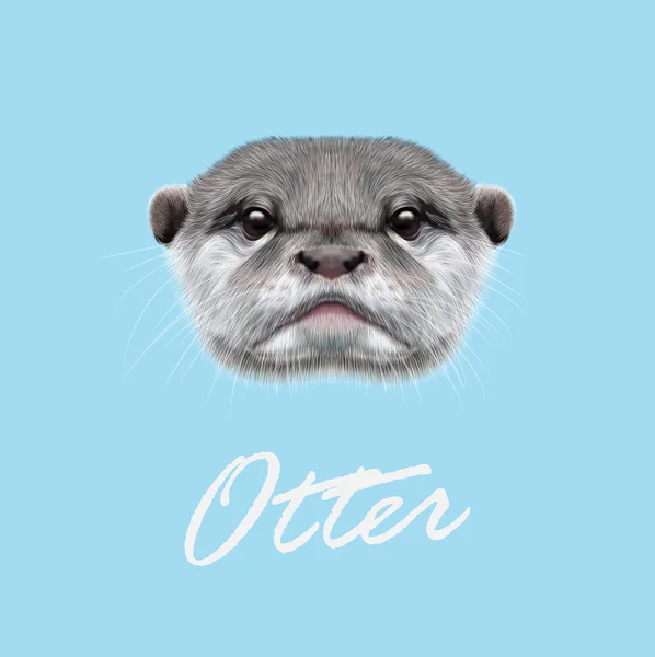 Vector Illustrated Portrait of Otter. — Stock Vector
