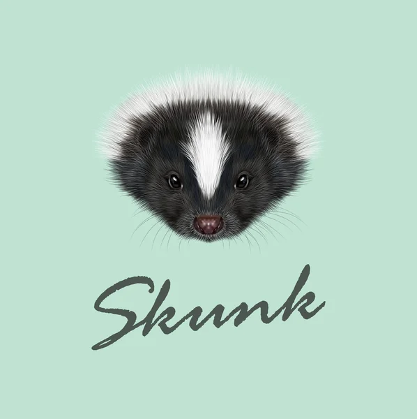 Vector Illustrated Portrait of Skunk. — Stock Vector