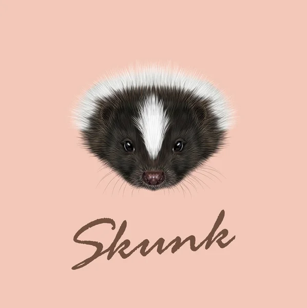 Vektor illustrierte Porträt des Stinktiers. — Stockvektor