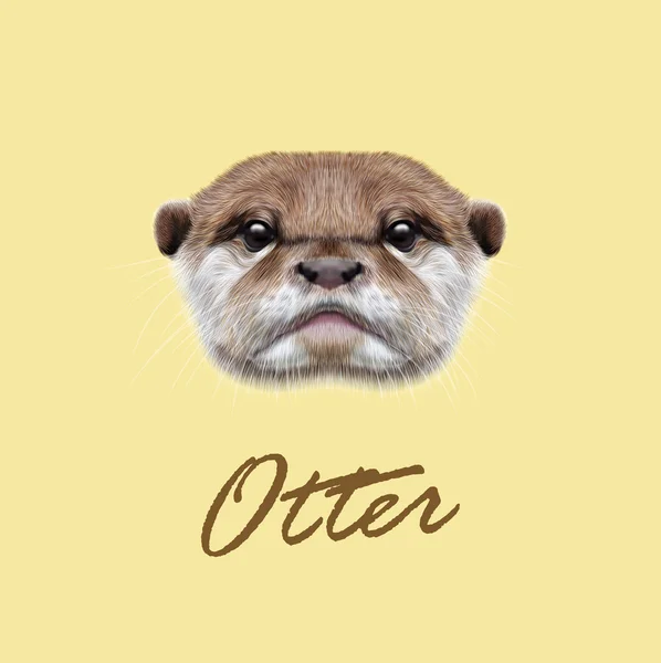 Loutre Images Vectorielles Loutre Vecteurs Libres De Droits Depositphotos Loutre Images Vectorielles Loutre Vecteurs Libres De Droits Depositphotos