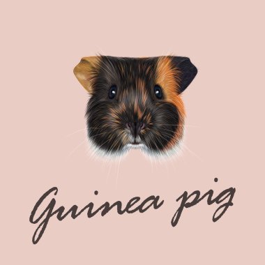 Eskiden şiling şimdi domuz portresi Illustrated vektör. 
