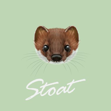 Gelincik vektör Illustrated portresi. 