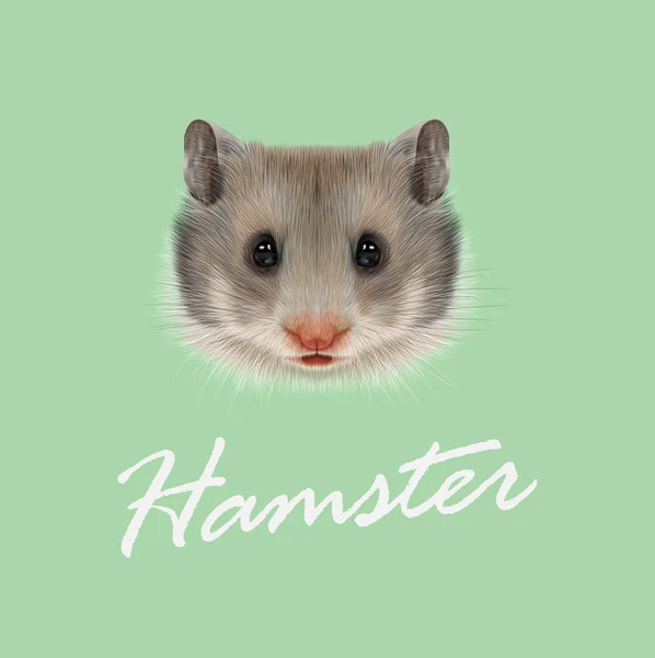 Vektör Illustrated portre hamster. — Stok Vektör