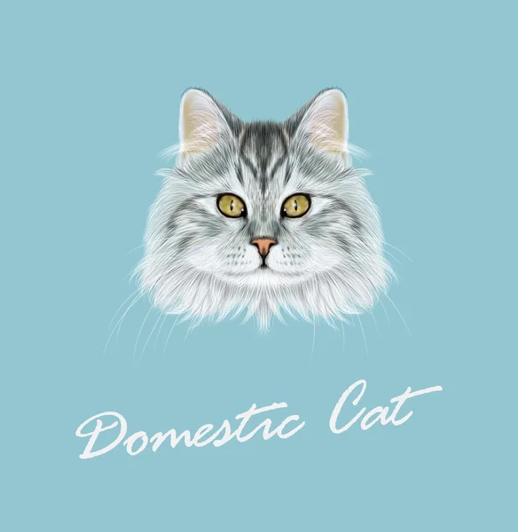 Vektorové ilustrace portrét domácí kočka. — Stockový vektor