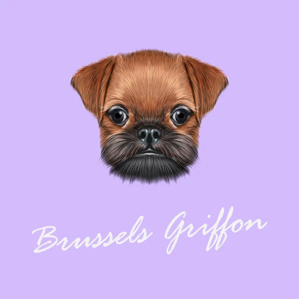 Vector Illustrated portrait of Brussels Griffon puppy. — Stock Vector