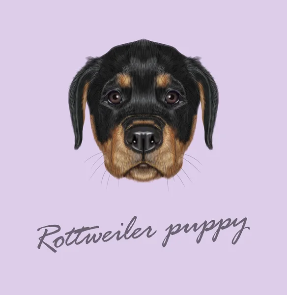 Vector illustrerad porträtt av Rottweiler valp. — Stock vektor