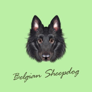 Dog Svg Png Eps Dxf Peeking Dogs SVG Peeking Belgian Sheepdog SVG Clipart Belgian Sheepdog SVG Files for Cricut Cut Files