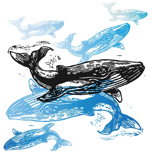 Vektorový velrybu zvířata v abstraktní kompozice. — Stockový vektor