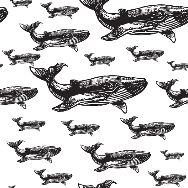 Wal schwarz-weiß nahtloses Vektormuster. — Stockvektor