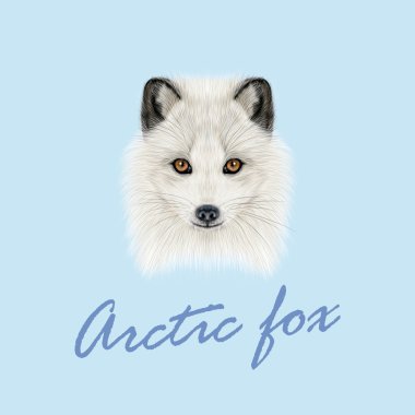 Vektör resimli portre, Kutup tilkisi.