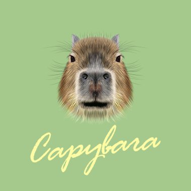 Vector Illustrated Portrait of Capybara.  clipart