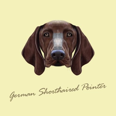 Alman Shorthaired ibre köpek portresi Illustrated vektör. 