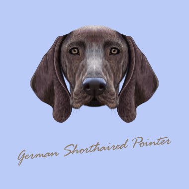 Alman Shorthaired ibre köpek portresi Illustrated vektör