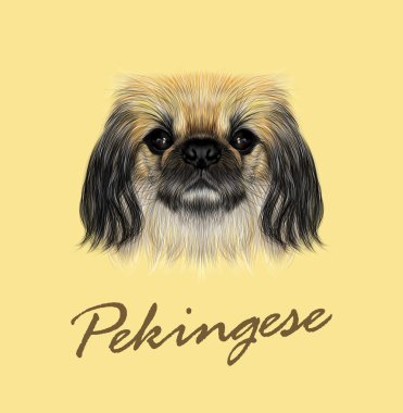 Fino köpeği vektör resimli portresi.