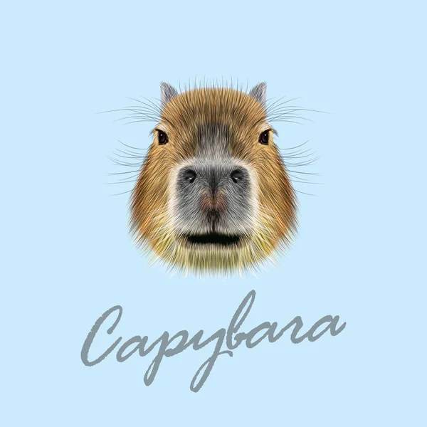 Vector Illustrated Portrait of Capybara. — Stock Vector