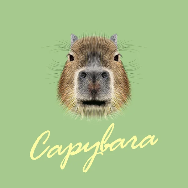 Vector retrato ilustrado de Capybara . — Vector de stock