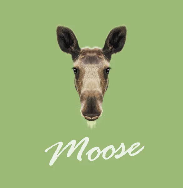 Vector retrato ilustrado de Moose . — Archivo Imágenes Vectoriales