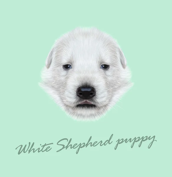 Vector Illustrated Portrait of White Sheperd puppy. — ストックベクタ